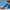 LEGO - ONE PIECE - Dr. Hiriluk’s Hideout - Building Kit - 75641