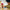 LEGO - ONE PIECE - Tony Tony Chopper - Building Kit - 75643