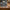 LEGO - One Piece - Garp’s Marine Battleship - Building Kit - 75646