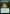 Regrowth [Game Night: Free-for-All] - Magic: The Gathering - Card Brawlers | Quebec | Canada |
