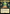 Abstergo Entertainment (Extended Art) [Assassin's Creed] - Magic: The Gathering - Card Brawlers | Quebec | Canada |