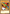 Left Arm of the Forbidden One (Red) [DL11-EN005] Rare - Yu-Gi-Oh! - Card Brawlers | Quebec | Canada |