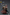 Joytoy - Warhammer 40k - Blood Angels - Mephiston - (PREORDER) October 30, 2026