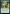 Invigorate [Game Night: Free-for-All] - Magic: The Gathering - Card Brawlers | Quebec | Canada |