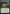 Commune with Nature [Mystery Booster] - Magic: The Gathering - Card Brawlers | Quebec | Canada |