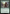 Greenwood Sentinel [Foundations Jumpstart] - Magic: The Gathering - Card Brawlers | Quebec | Canada |