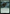 Horrid Vigor [Duskmourn: House of Horror] - Magic: The Gathering - Card Brawlers | Quebec | Canada |