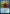 Cut Your Losses [Streets of New Capenna Prerelease Promos] - Magic: The Gathering - Card Brawlers | Quebec | Canada |