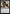 Defenestrate [Foundations Jumpstart] - Magic: The Gathering - Card Brawlers | Quebec | Canada |