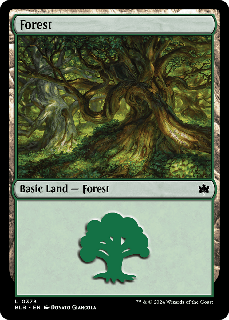 Forest (0378) [Bloomburrow] - Magic: The Gathering - Card Brawlers | Quebec | Canada |