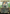 Gishath, Sun's Avatar (Borderless) [The Lost Caverns of Ixalan] - Magic: The Gathering - Card Brawlers | Quebec | Canada |