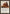 Pulsemage Advocate [Judgment] - Magic: The Gathering - Card Brawlers | Quebec | Canada |