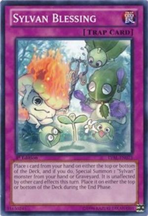 Sylvan Blessing [LVAL-EN073] Common - Yu-Gi-Oh! - Card Brawlers | Quebec | Canada |