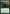 Scourge of Skola Vale [Born of the Gods] - Magic: The Gathering - Card Brawlers | Quebec | Canada |