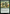Treetop Sentries [Bloomburrow] - Magic: The Gathering - Card Brawlers | Quebec | Canada |