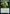 Might Sliver [Time Spiral Remastered] - Magic: The Gathering - Card Brawlers | Quebec | Canada |