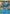 Gyarados (XY60) (Prerelease Promo) [XY: Black Star Promos] - Pokémon - Card Brawlers | Quebec | Canada |