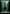 Forest (363) [Secret Lair Drop Series] - Magic: The Gathering - Card Brawlers | Quebec | Canada |