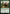 Prize Pig [The Lord of the Rings: Tales of Middle-Earth Commander] - Magic: The Gathering - Card Brawlers | Quebec | Canada |