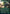 Dryad of the Ilysian Grove (Borderless) [Secret Lair Drop Series] - Magic: The Gathering - Card Brawlers | Quebec | Canada |