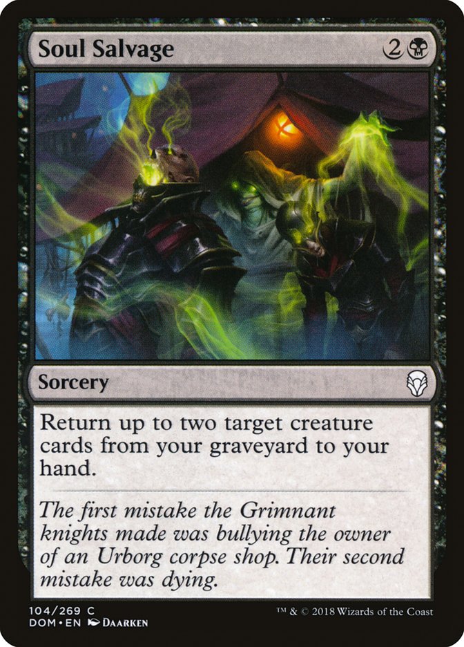 Soul Salvage [Dominaria] - Magic: The Gathering - Card Brawlers | Quebec | Canada |