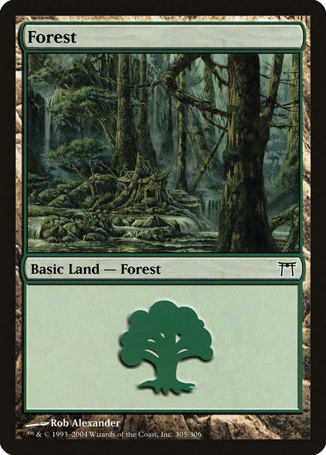 Forest (305) [Champions of Kamigawa] - Magic: The Gathering - Card Brawlers | Quebec | Canada |