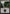 Swamp (268) [Core Set 2021] - Magic: The Gathering - Card Brawlers | Quebec | Canada |
