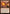 Pyrotechnics [Fate Reforged] - Magic: The Gathering - Card Brawlers | Quebec | Canada |