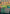 Selesnya Sanctuary (Borderless Alternate Art) [Double Masters 2022] - Magic: The Gathering - Card Brawlers | Quebec | Canada |