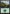 Forest (300) [Commander 2019] - Magic: The Gathering - Card Brawlers | Quebec | Canada |