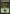 Forest (246) [Magic 2014] - Magic: The Gathering - Card Brawlers | Quebec | Canada |