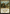 Yathan Roadwatcher [Tarkir: Dragonstorm] - Magic: The Gathering - Card Brawlers | Quebec | Canada |
