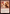 Romantic Rendezvous [Marvel's Spider-Man] - Magic: The Gathering - Card Brawlers | Quebec | Canada |