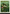 Fecundity [Secret Lair Drop Series] - Magic: The Gathering - Card Brawlers | Quebec | Canada |