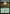 Forest (470) [Commander Legends: Battle for Baldur's Gate] - Magic: The Gathering - Card Brawlers | Quebec | Canada |