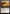 Hook Swords [Avatar: The Last Airbender: Eternal-Legal] - Magic: The Gathering - Card Brawlers | Quebec | Canada |
