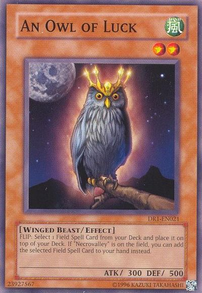 An Owl of Luck [DR1-EN021] Common - Yu-Gi-Oh! - Card Brawlers | Quebec | Canada |