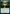 Greater Good [Dungeons & Dragons: Adventures in the Forgotten Realms Commander] - Magic: The Gathering - Card Brawlers | Quebec | Canada |