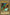 Right Arm of the Forbidden One [LOB-EN122] Ultra Rare - Yu-Gi-Oh! - Card Brawlers | Quebec | Canada |