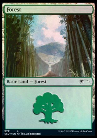 Forest (Walls) (577) [Secret Lair Drop Promos] - Magic: The Gathering - Card Brawlers | Quebec | Canada |