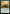 Snakeskin Veil [Outlaws of Thunder Junction] - Magic: The Gathering - Card Brawlers | Quebec | Canada |