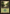 Forest (450) (Retro) [Commander Masters] - Magic: The Gathering - Card Brawlers | Quebec | Canada |