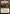 Narset, Enlightened Master [Commander Masters] - Magic: The Gathering - Card Brawlers | Quebec | Canada |