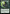 Contest of Claws (Extended Art) [The Lost Caverns of Ixalan Commander] - Magic: The Gathering - Card Brawlers | Quebec | Canada |