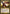 Broodmate Dragon [Resale Promos] - Magic: The Gathering - Card Brawlers | Quebec | Canada |