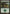 Forest (31) [Duel Decks: Elves vs. Goblins] - Magic: The Gathering - Card Brawlers | Quebec | Canada |