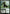 Beanstalk Giant [Zendikar Rising Commander] - Magic: The Gathering - Card Brawlers | Quebec | Canada |