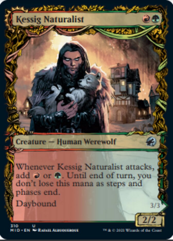 Kessig Naturalist // Lord of the Ulvenwald (Showcase Equinox) [Innistrad: Midnight Hunt] - Magic: The Gathering - Card Brawlers | Quebec | Canada |