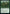 Kudzu [30th Anniversary Edition] - Magic: The Gathering - Card Brawlers | Quebec | Canada |