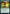 Dragonsguard Elite (Promo Pack) [Strixhaven: School of Mages Promos] - Magic: The Gathering - Card Brawlers | Quebec | Canada |